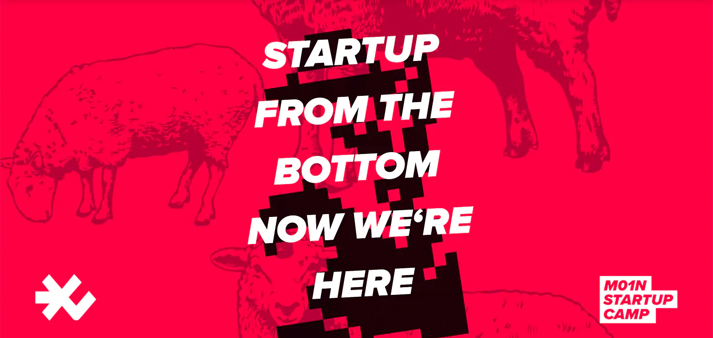 “Startup from the bottom, now we're here” in white over a black pixel stair on M01N red with grazing sheep, M01N Startup Camp logo